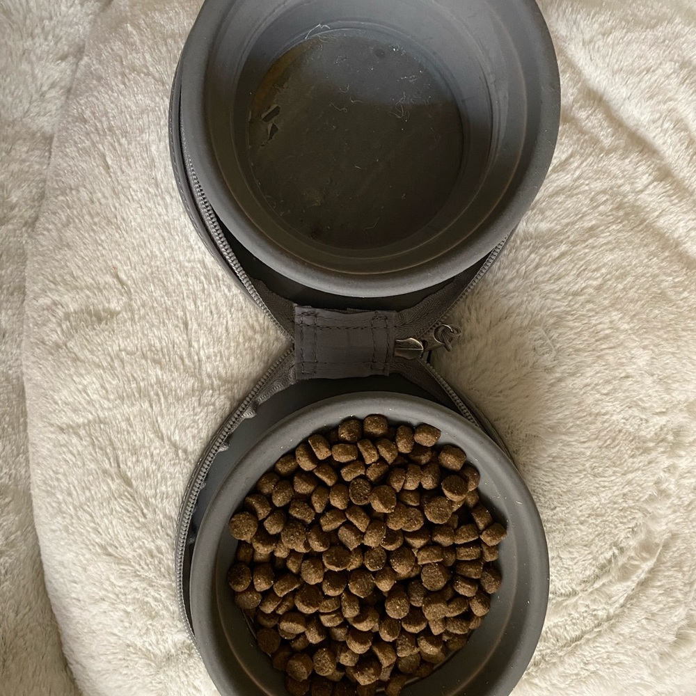 Small dog/Puppy essentials